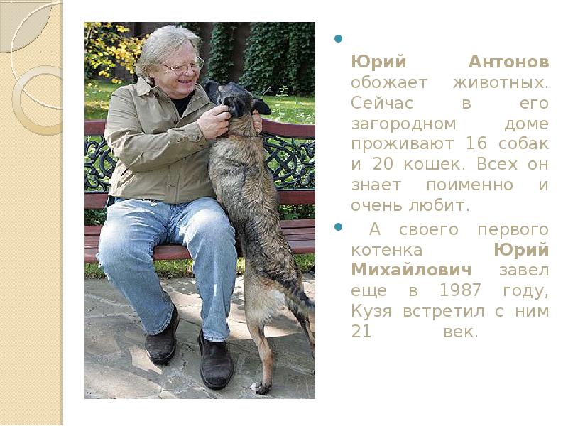 Юрий антонов и его «кошкин дом»