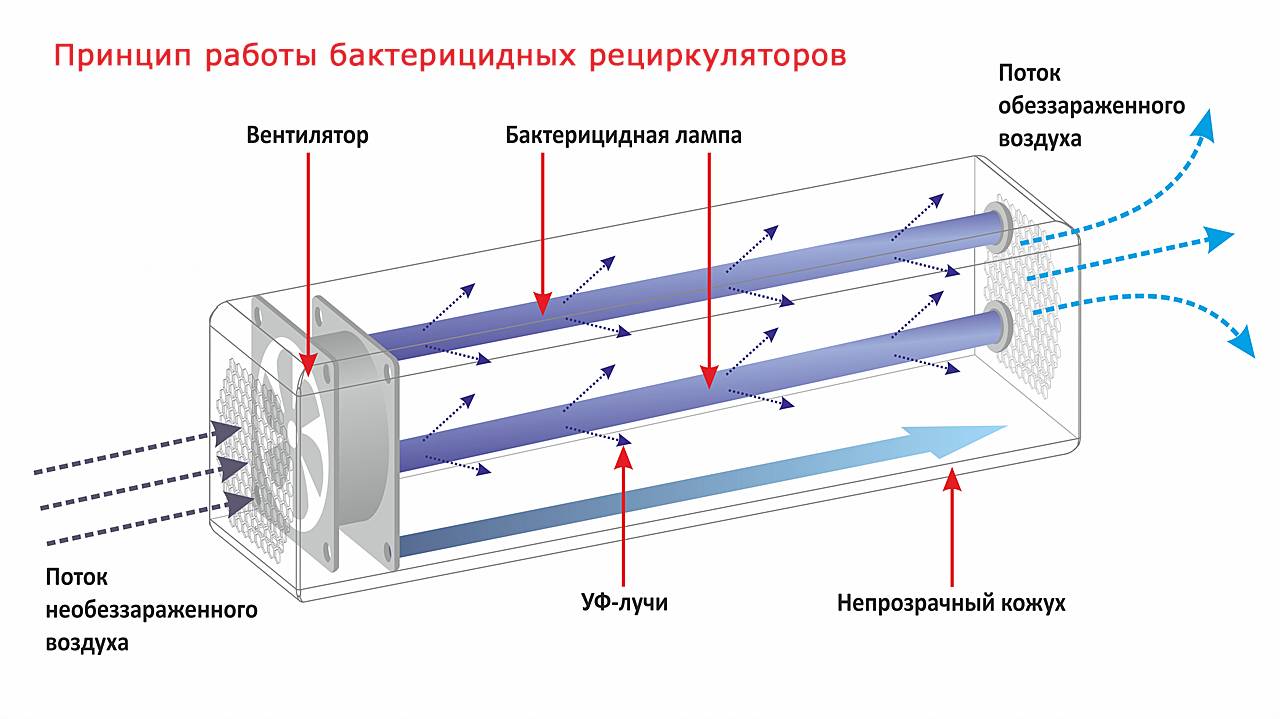 Как почистить вытяжку над плитой: 8 простых методов чистки в домашних условиях