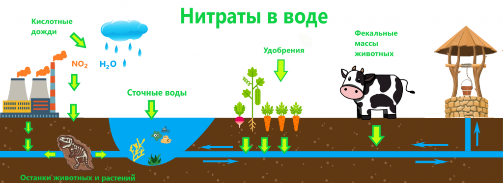 Нитраты в воде. Источники загрязнения воды нитратами. Нитраты в грунтовых Водах. Накопление нитратов в воде.